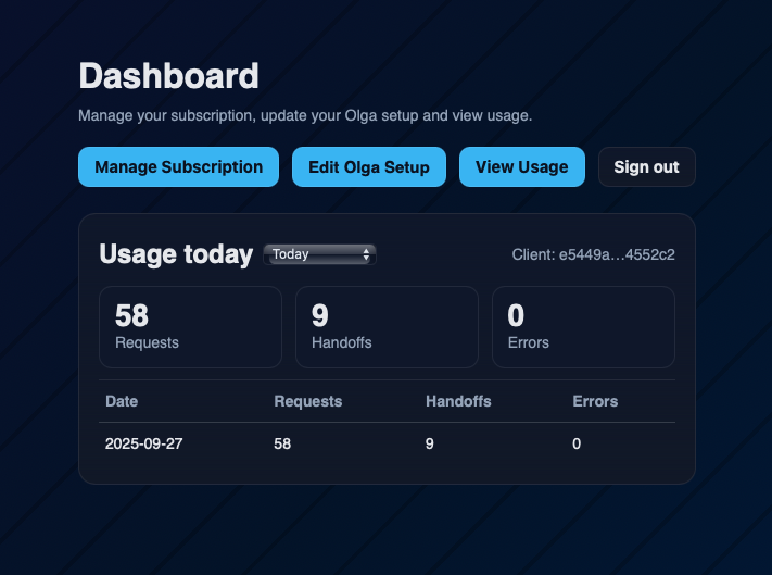 Usage dashboard showing chats per day
